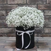 Цветочная композиция из Гипсофила в шляпной коробке в Мильково Камчатского края